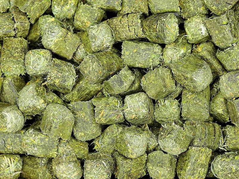 Cubos de Alfalfa - Alfalfar