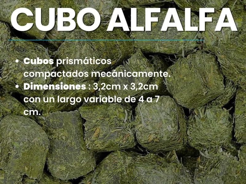 Cubos de Alfalfa - Alfalfar