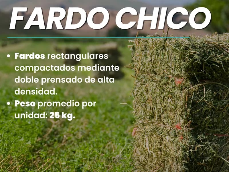 Fardos Doble Prensados de Alfalfa (25 kg) - Alfalfar