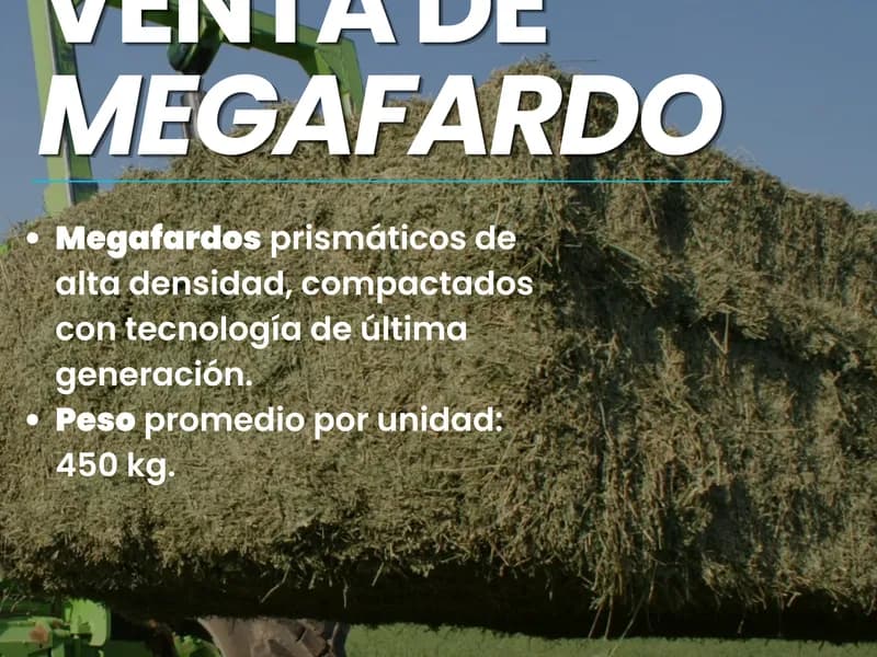 Megafardos de Alfalfa - Alfalfar